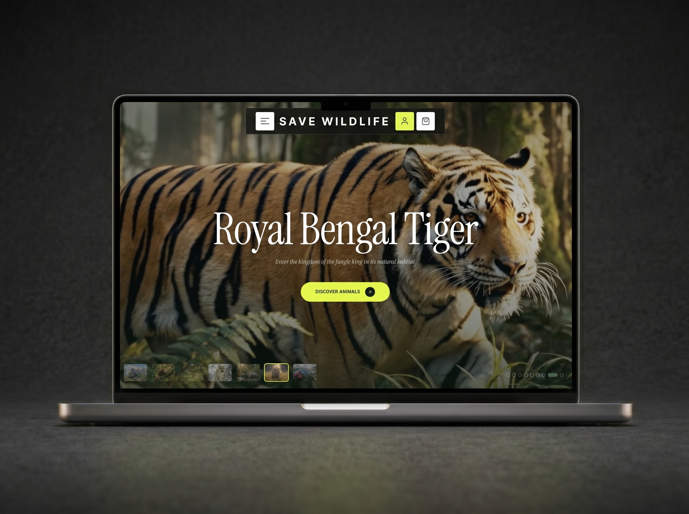 Save Wildlife